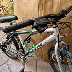 Giant Boulder Mountain Men Bike-7 Speed Gear 