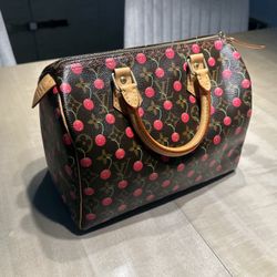 Louis Vuitton Women's Brown Limited Edition Takashi Murakami Cherry Blossom Monogram Canvas Speedy 25 Purse