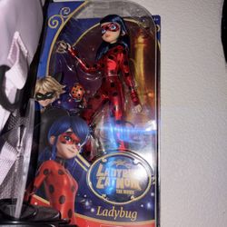 Ladybug Doll  (Look At Description)
