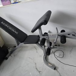 Bench Weight Gym Machine Wainer Platinum