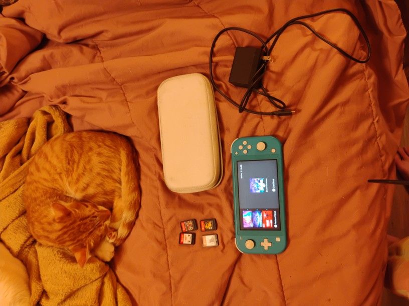 Nintendo Switch Lite