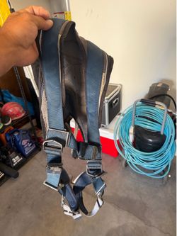 Harness