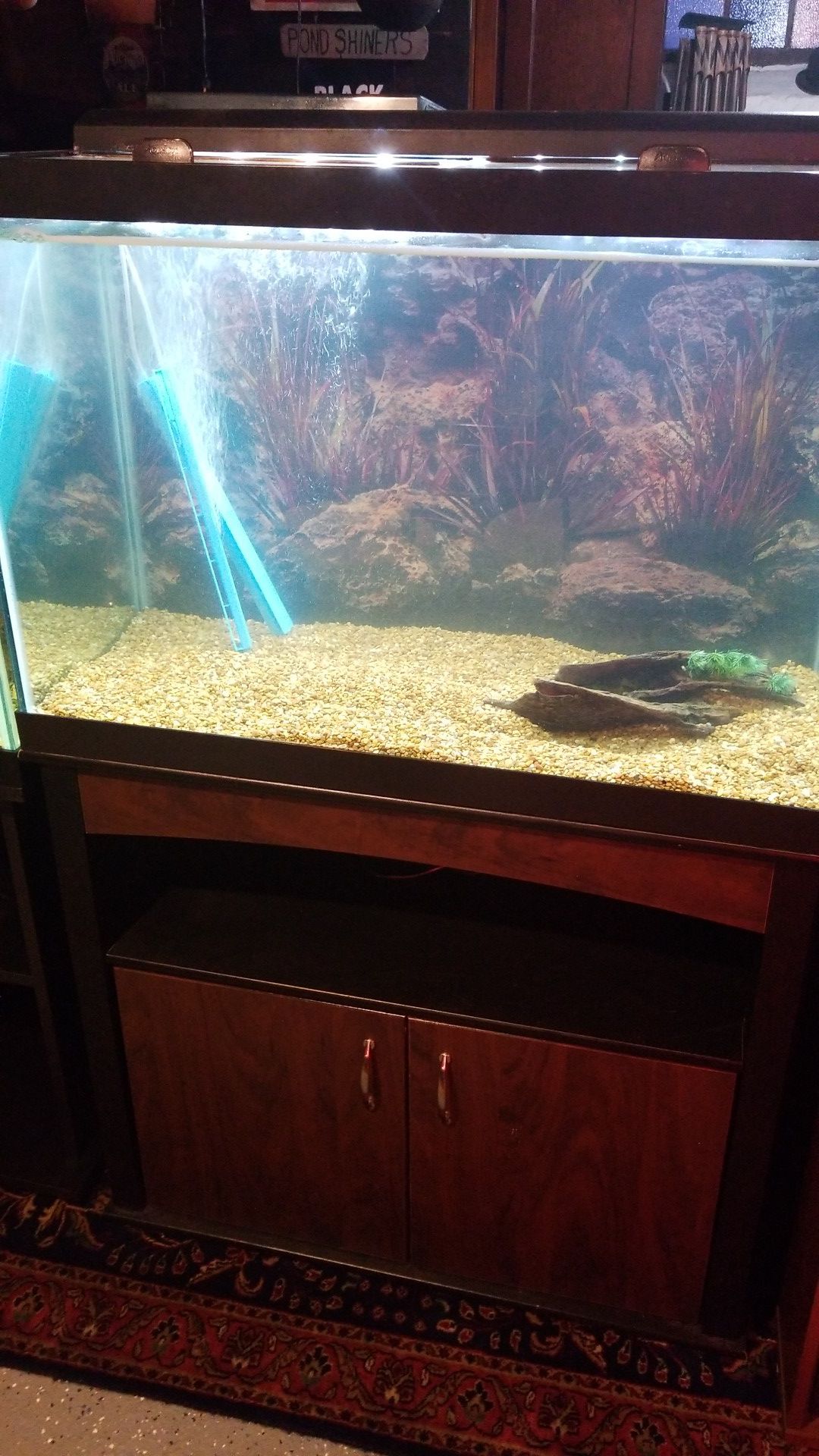 Mint 65 Gallon Aquarium Hood Tank Stand Filter Complete setup