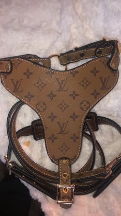 Dog Harness And Leash