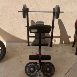 Weight Bench Set