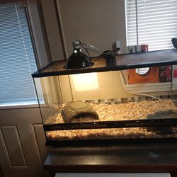 Balled Python Reptile Cage
