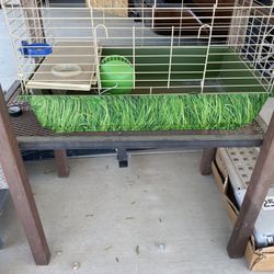 Pet Crate