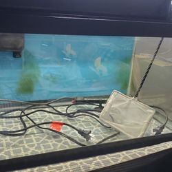 15 Gallon Fish Tank Aquarium Plus Accessories 