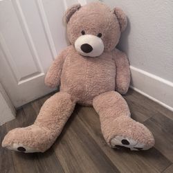 Valentines Day Giant Teddy Bear