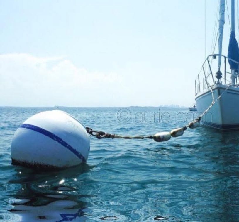 Boat mooring & chain for sale - $1500 - 500 lb.