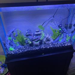 30 gallon fish tank, filter, heater, lights, plants and decorations