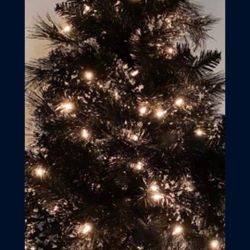 Tall Ins Size. Over 5ft. Pick Up.  Black In Color 