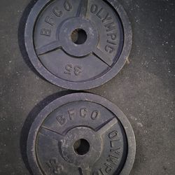 35lbs Weights