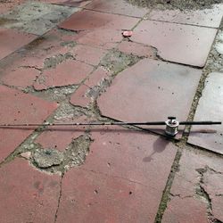 Sealine Reel And DIAWA ROD 