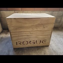 Rogue PlyoExercise Box📦