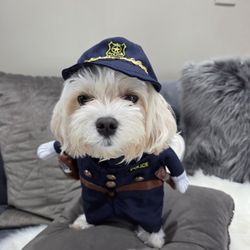 SMALL  🐕   DOG POLICE  COSTUME  $10