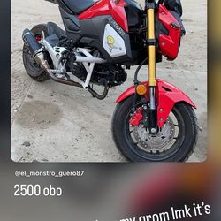 2019 Honda grom