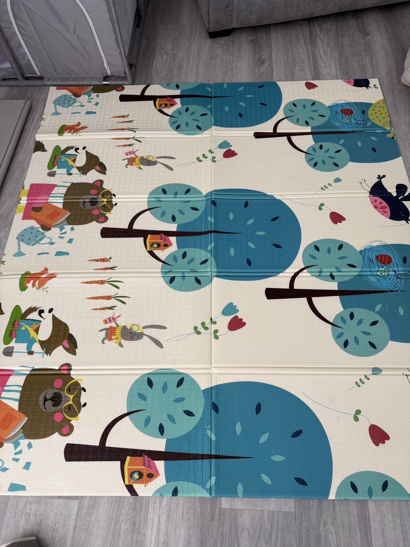 Crawling Mat