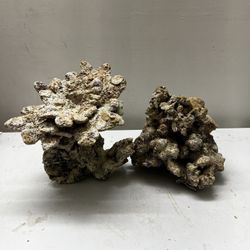 Custom Build Dry Rock With Poxy