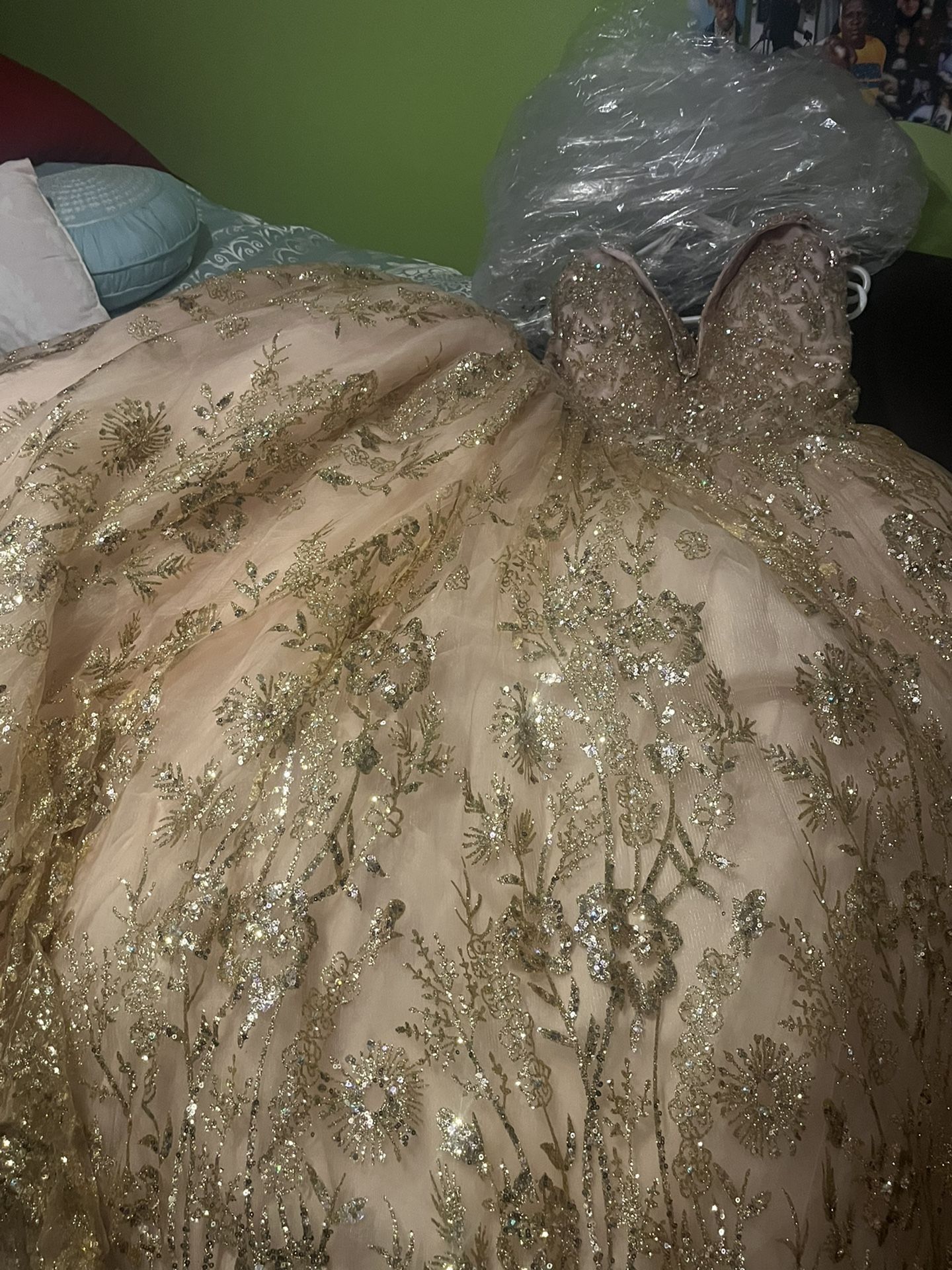 Ballroom Dress/Quinceanera/Wedding Dress/