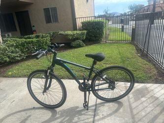 Dark Green Hybrid / Comfort Bike
