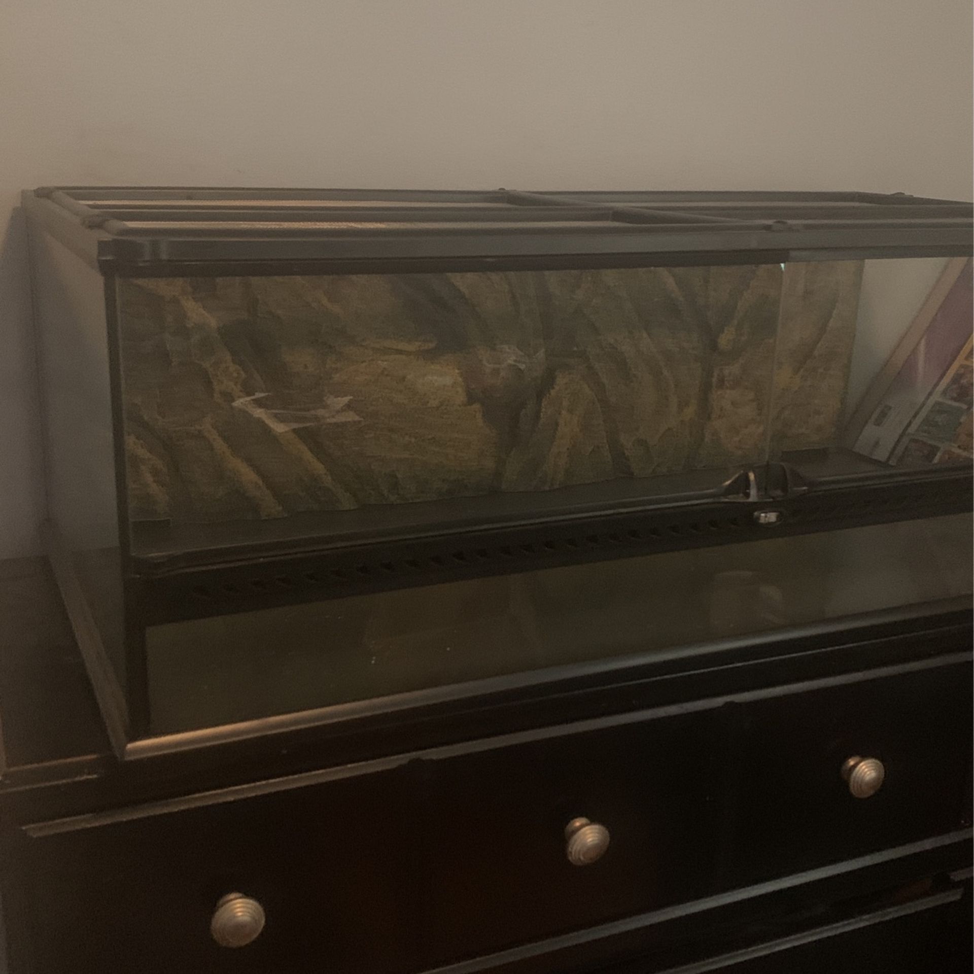 Exo-Terra® Natural Terrarium Reptile Habitat 36 X 18 X 12-Inch