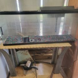 Fish Tank With Stand 100 