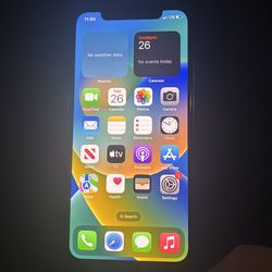 iPhone X
