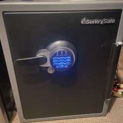 Large Sentry safe-Works great!