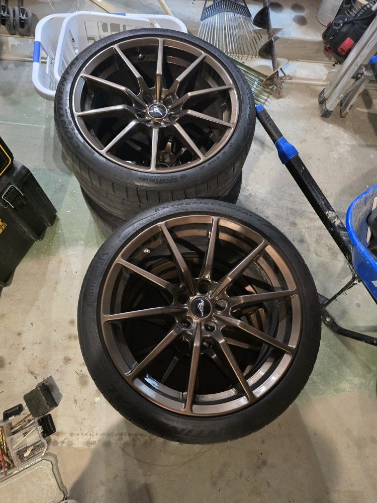 Gt350 Wheels