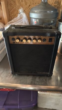 Electric Bass/guitar amplifier