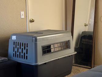 Almost new Large dog crate $120 obo