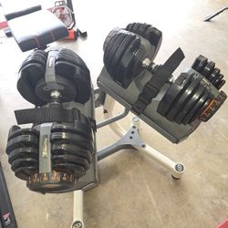 Workout Dumbbells And Stand