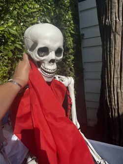 Day Of The Dead Decorations