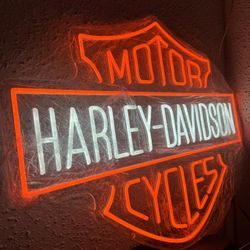LED NEON LIGHT HARLEY DAVIDSON