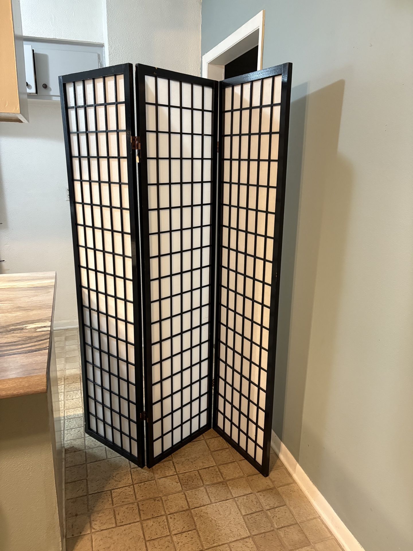 Room/Office Divider