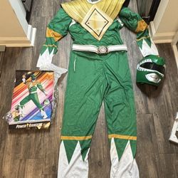 Power Rangers Green Ranger Muscle Adult Costume & helmet. Large Read description