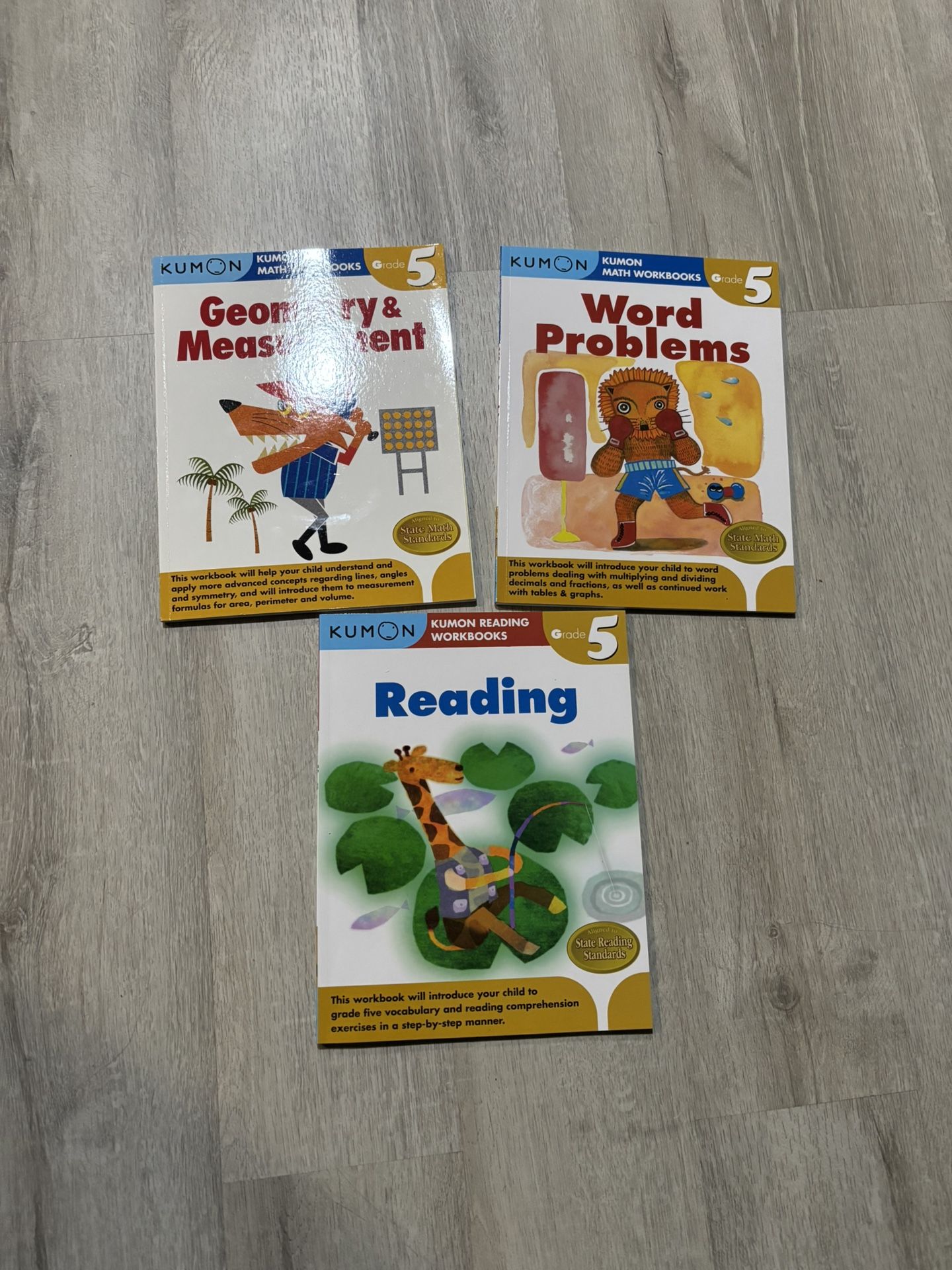 3 NEW Kumon Grade 5 Workbooks Study Guides