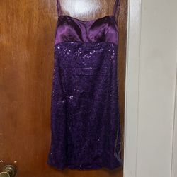 Purple Mini Dress 