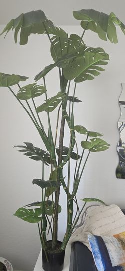 Beautiful Faux Monstera Tree 6F-Like new