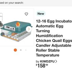 12-16 Eggs Incubator