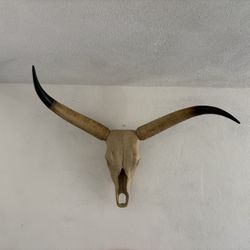Fake Faux Bull Cow Skull Head Horns