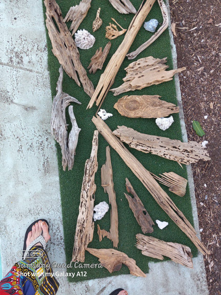 Assorted Driftwood