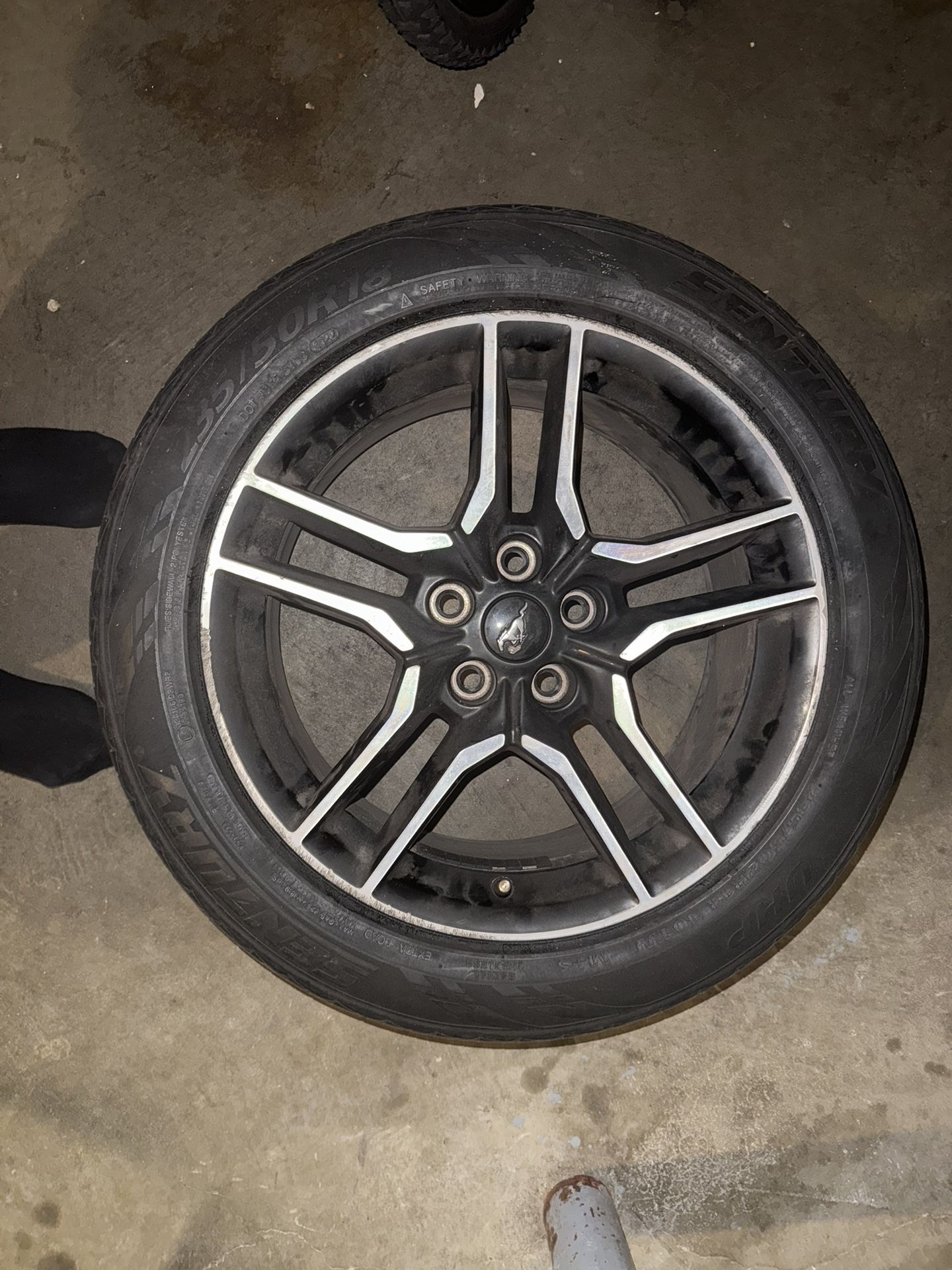 Mustang Gt Rim And Wheel