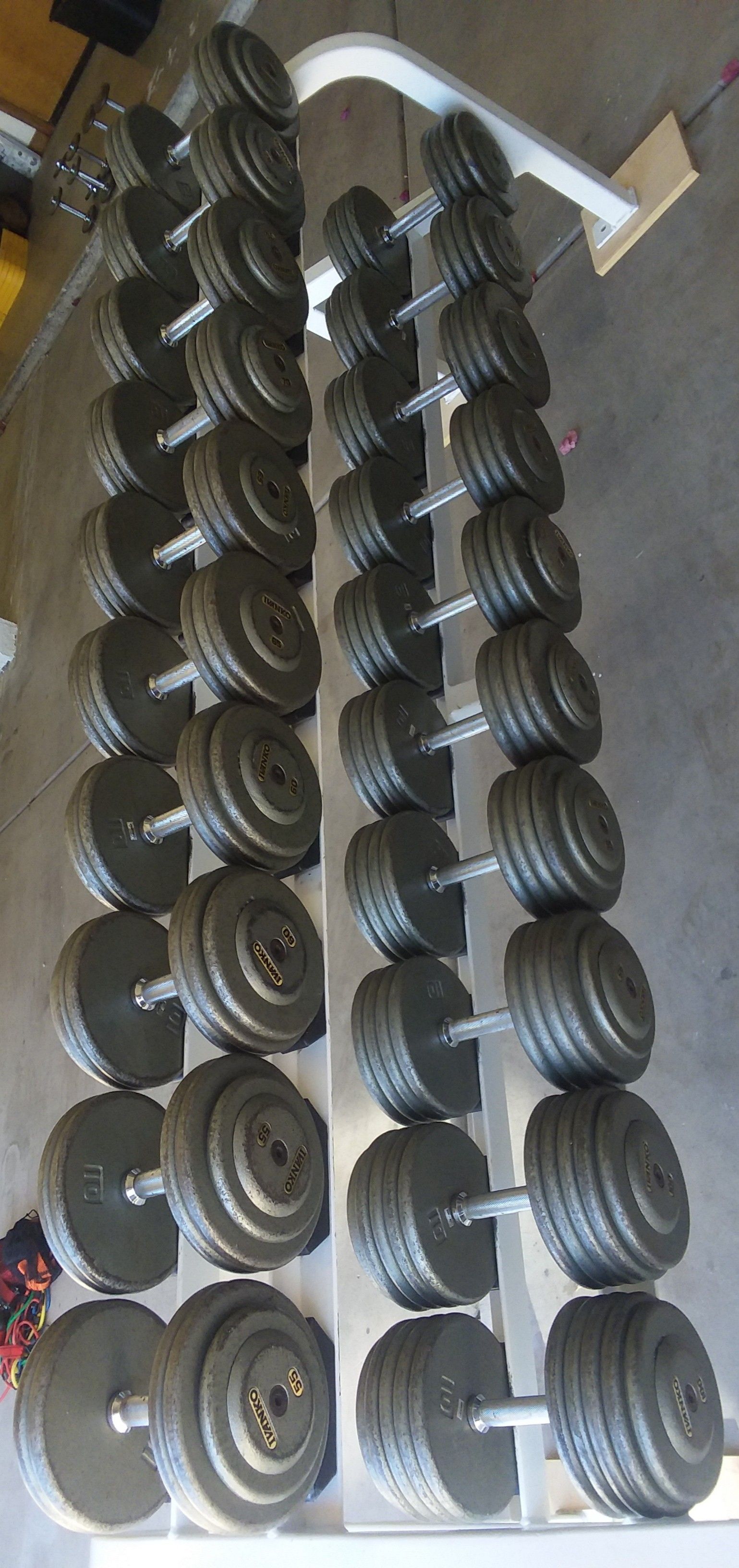 IVANKO Dumbbell Set 5-100 Lbs and Racks