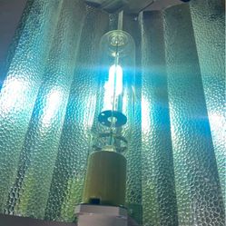 600 Watt Horticulture Light