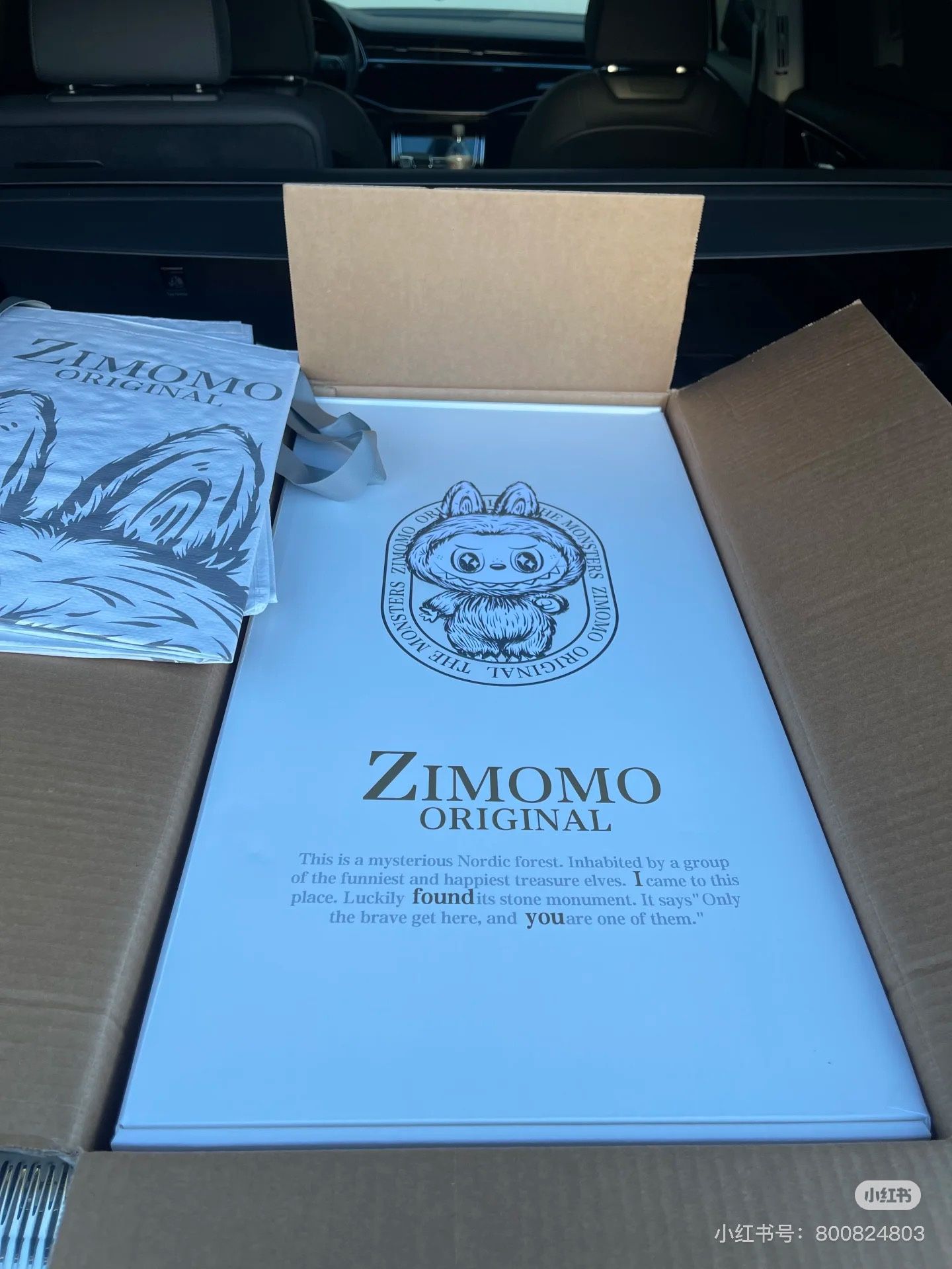 Zimomo I Found You New In Box Popmart Labubu 