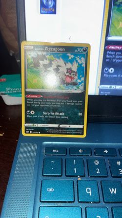 Zigzagoon