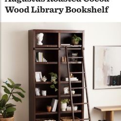 World market sale bookshelf with ladder