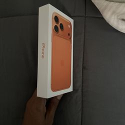 iPhone 17 Pro Max (1TB) 